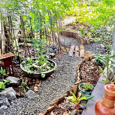 Bindu Homestay Wellawaya Zewnętrze zdjęcie