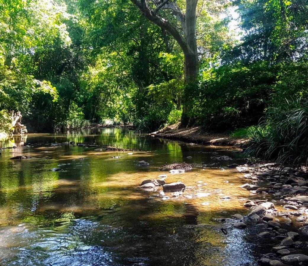 Bindu Homestay Wellawaya Zewnętrze zdjęcie