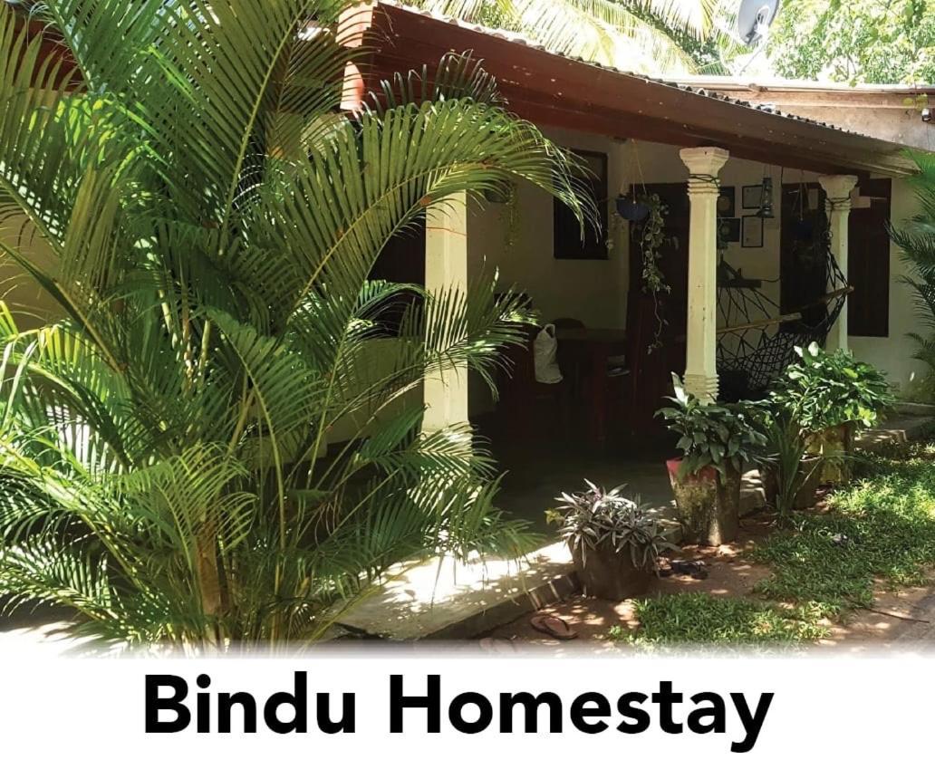 Bindu Homestay Wellawaya Zewnętrze zdjęcie